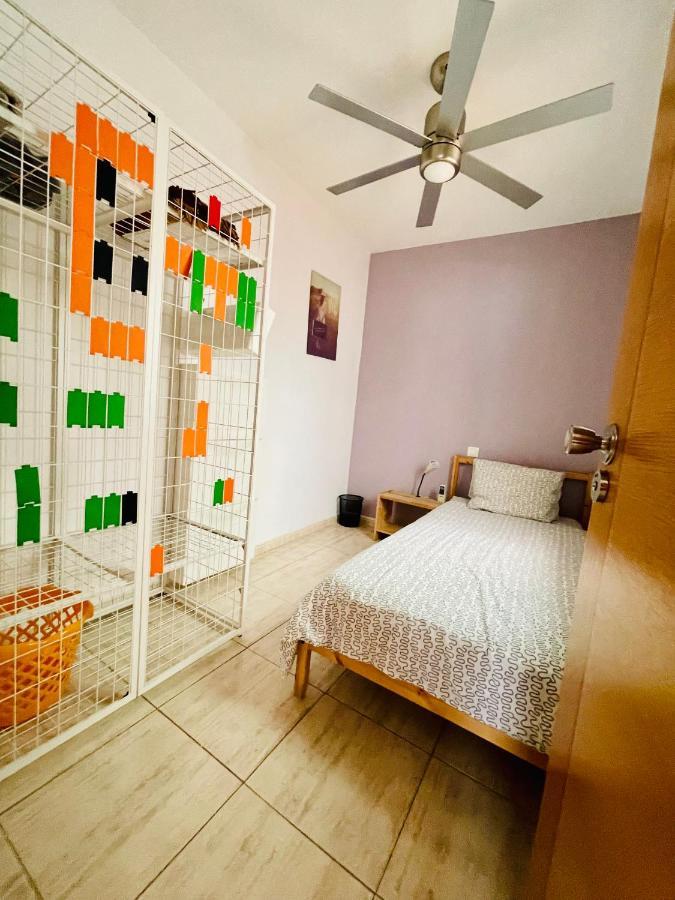Piso Amplio Familiar Διαμέρισμα Telde Εξωτερικό φωτογραφία
